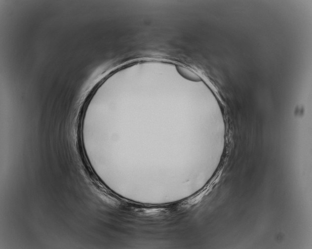 X0000097640151200803281130