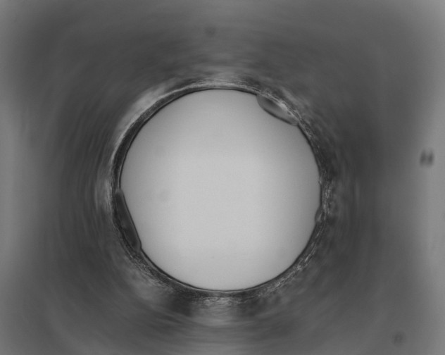 X0000097640152200803281130