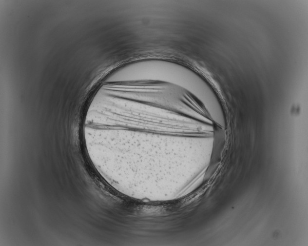 X0000097640154200803281130