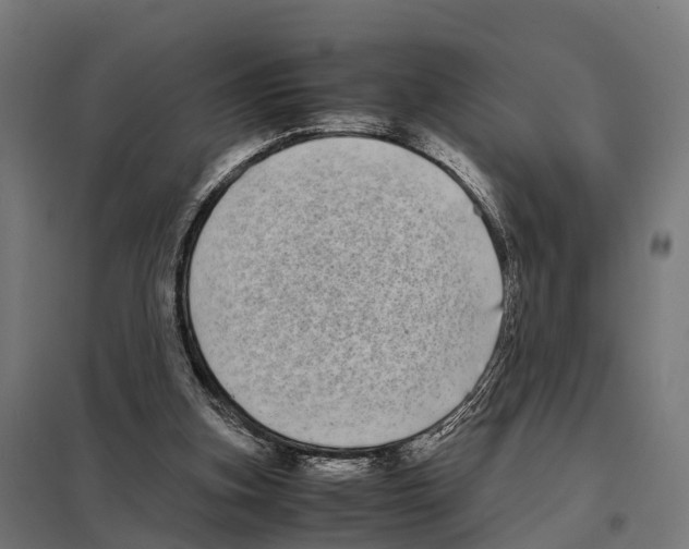 X0000097640155200803281130