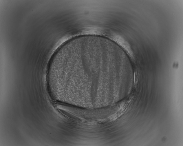 X0000097640156200803281130