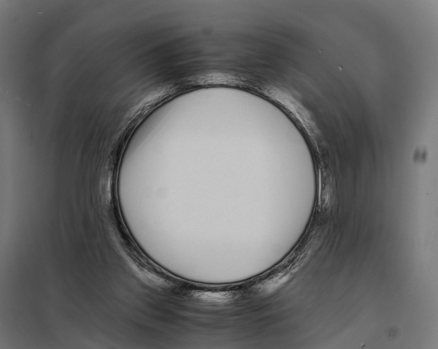 X0000097640157200803281130