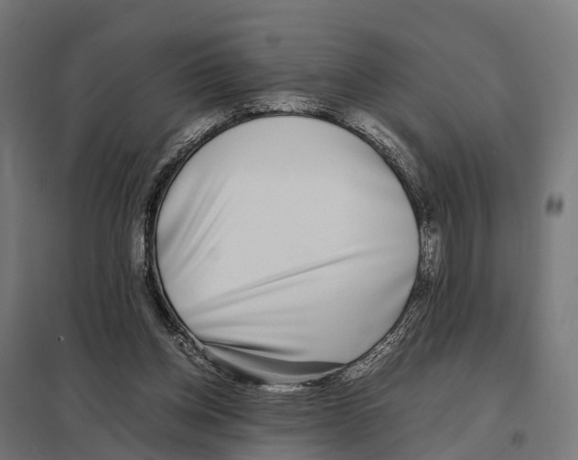 X0000097640158200803281130