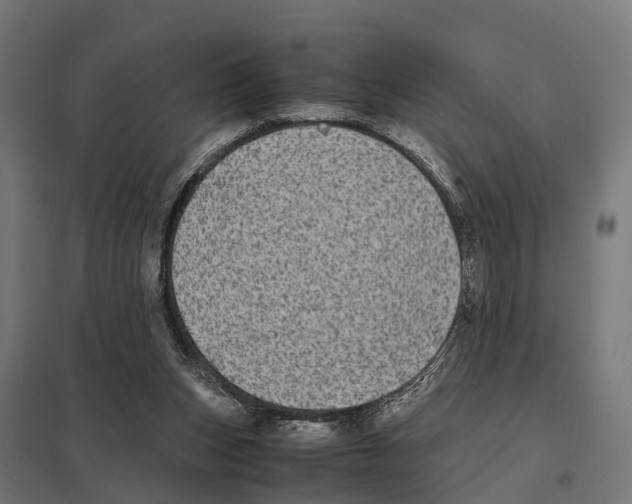 X0000097640159200803281130