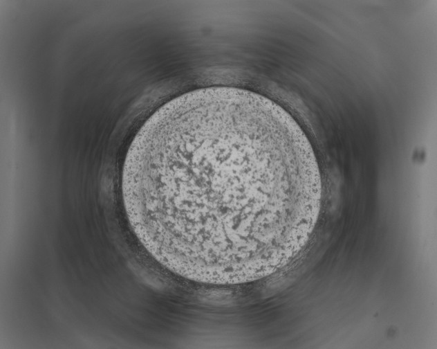 X0000097640162200803281131