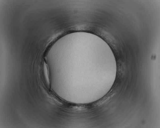 X0000097640164200803281131