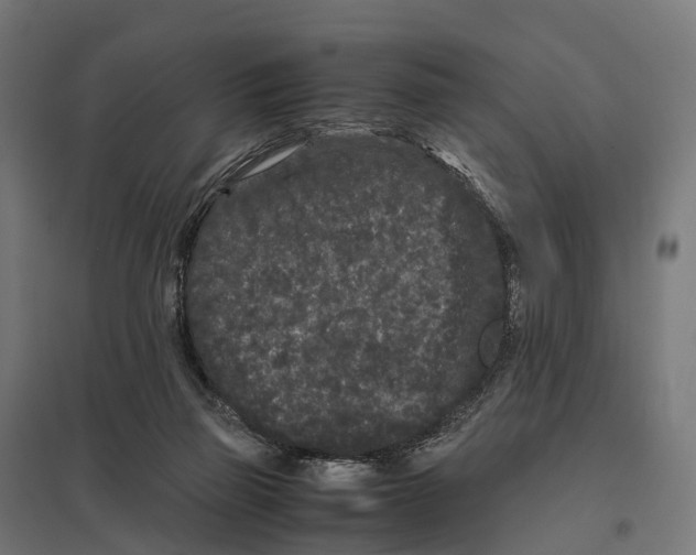 X0000097640165200803281131