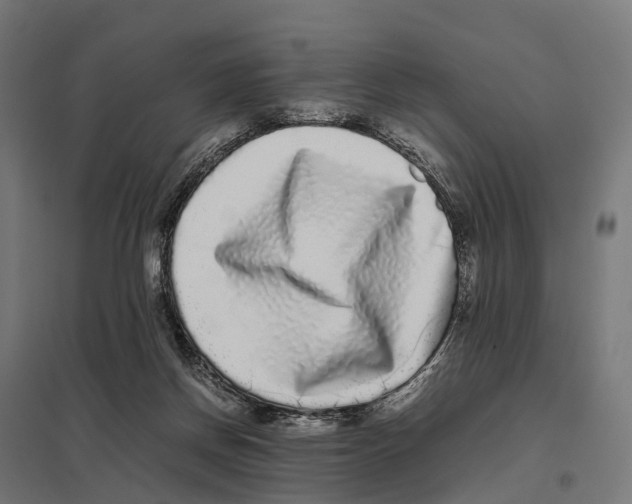 X0000097640166200803281131