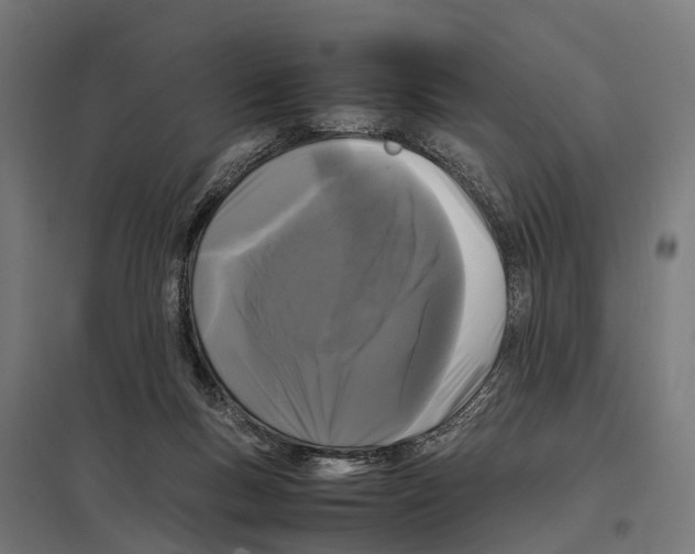 X0000097640167200803281131