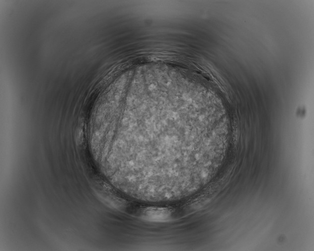 X0000097640169200803281131