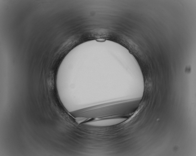 X0000097640170200803281131