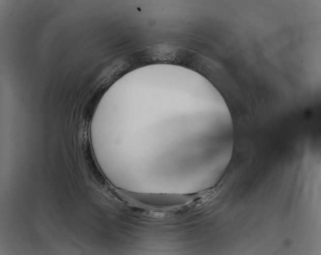 X0000097640172200803281131