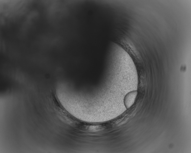 X0000097640173200803281131