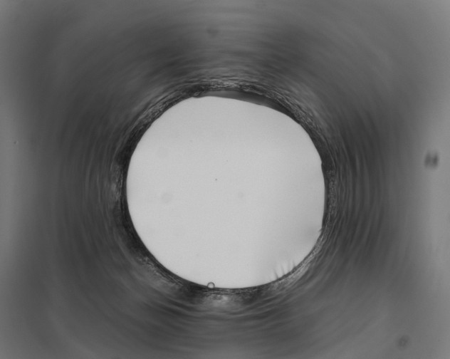 X0000097640174200803281131