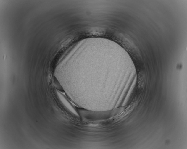 X0000097640176200803281131