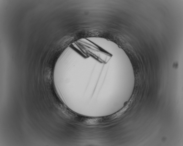X0000097640178200803281131
