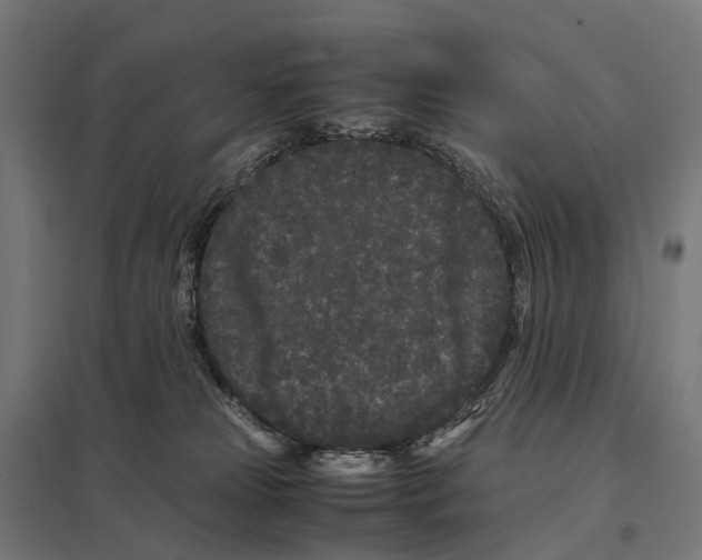 X0000097640181200803281131