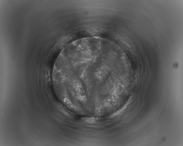 X0000097640182200803281131