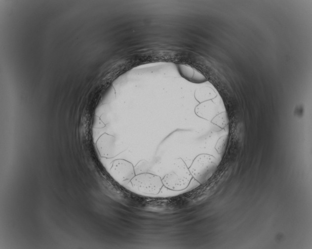 X0000097640185200803281131