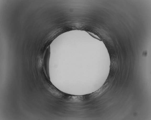 X0000097640188200803281131