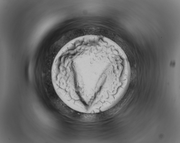 X0000097640189200803281131