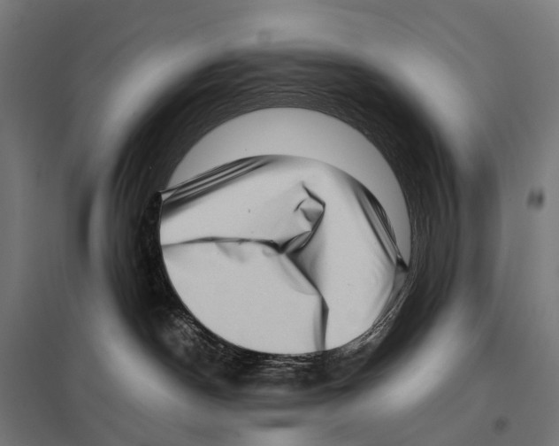 X0000097640190200803281131