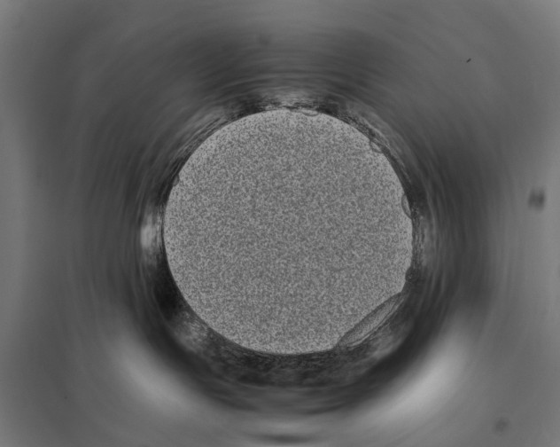 X0000097640191200803281131