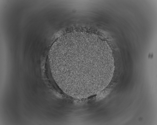 X0000097640192200803281131