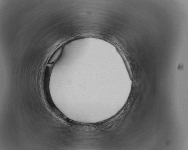 X0000097640193200803281130