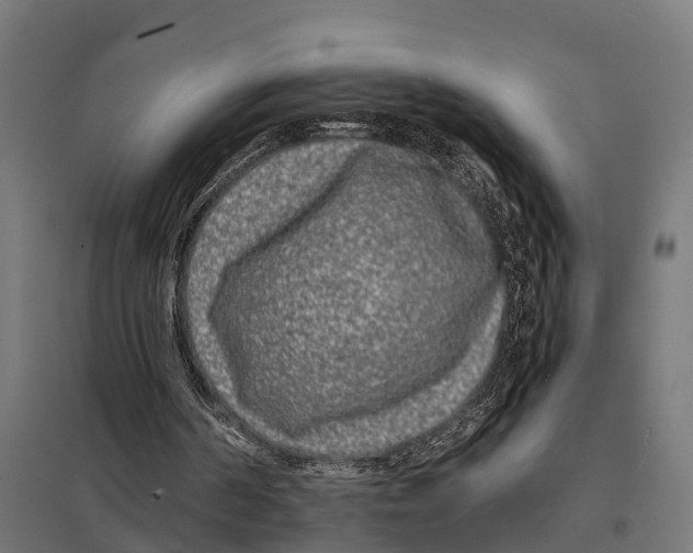 X0000097640194200803281130