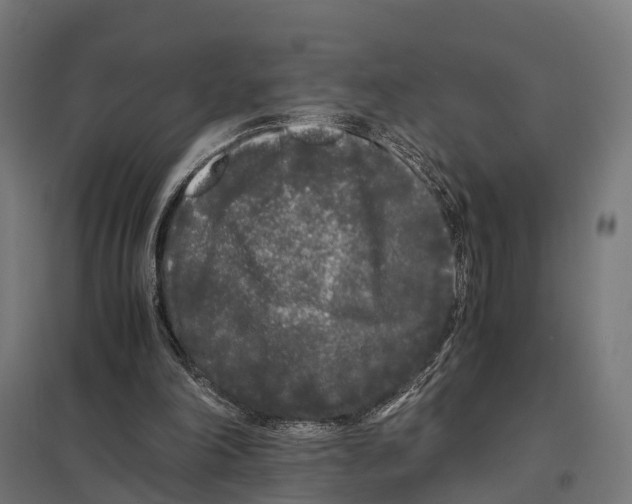 X0000097640198200803281130