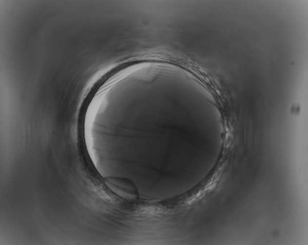 X0000097640200200803281130