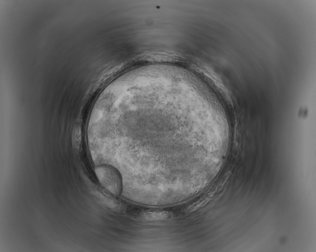 X0000097640202200803281130