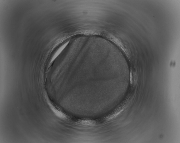 X0000097640205200803281130