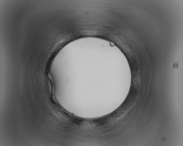 X0000097640207200803281130