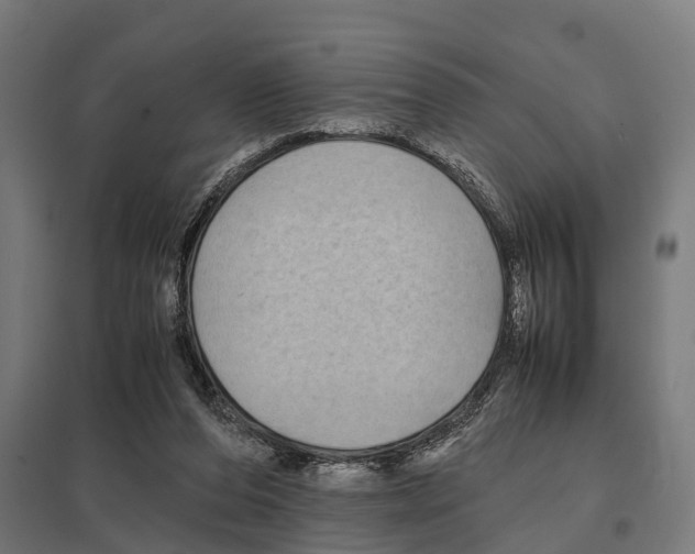 X0000097640208200803281130