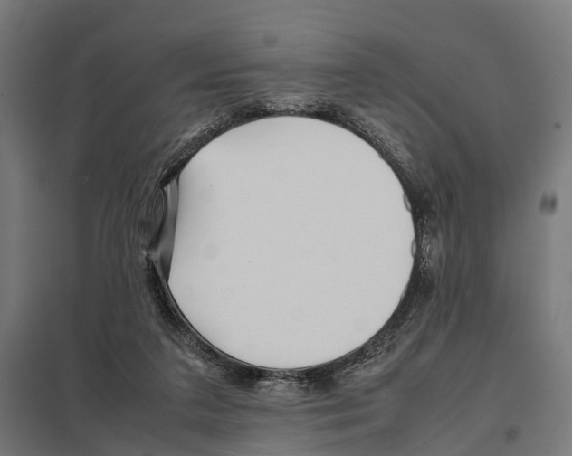 X0000097640211200803281130