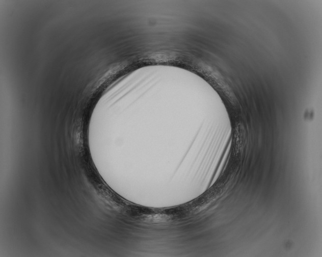 X0000097640212200803281130