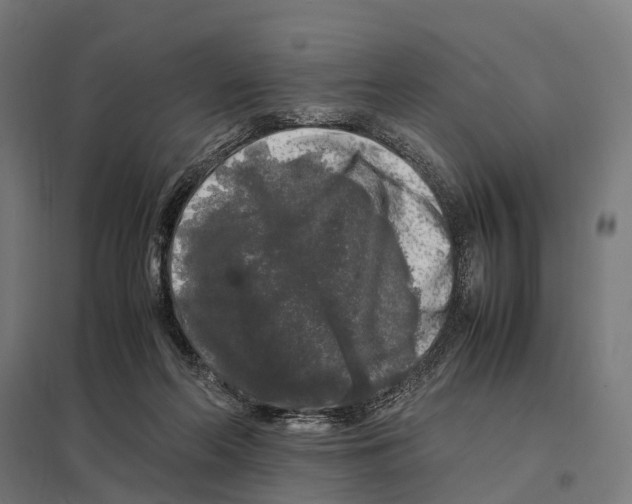 X0000097640214200803281130