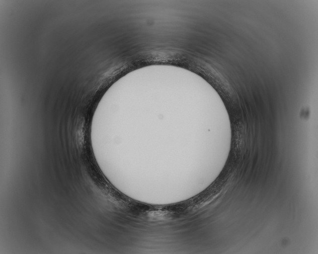 X0000097640216200803281130