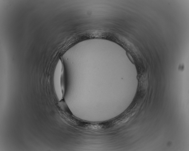 X0000097640217200803281130