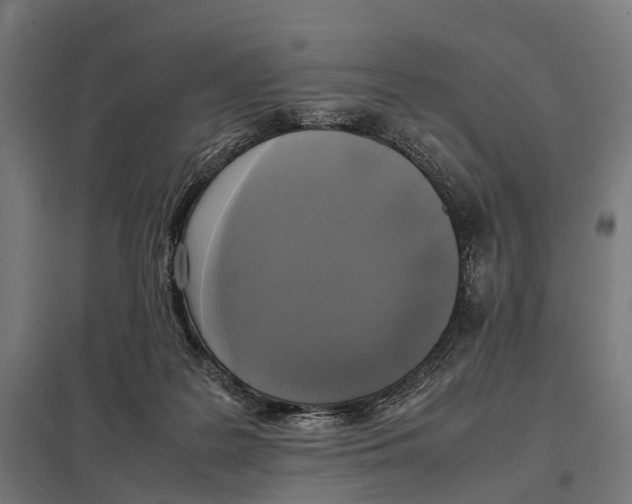 X0000097640219200803281130