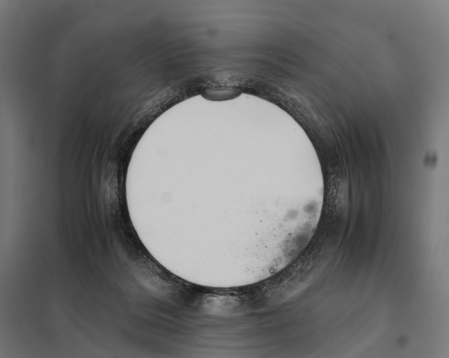 X0000097640220200803281130