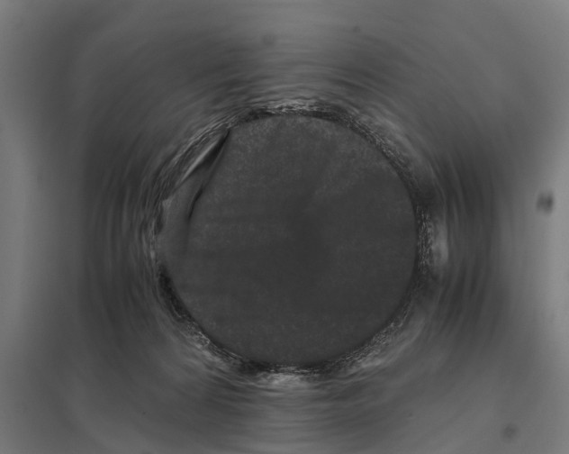 X0000097640224200803281130