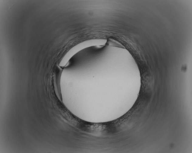 X0000097640225200803281130