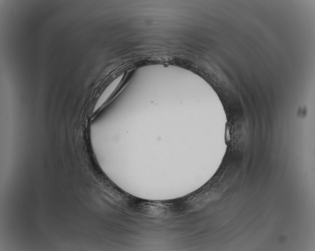 X0000097640229200803281130