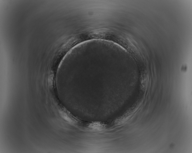 X0000097640231200803281130