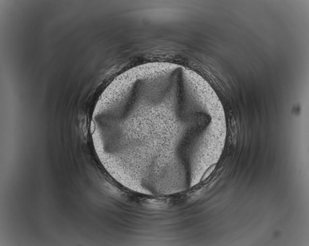 X0000097640232200803281130