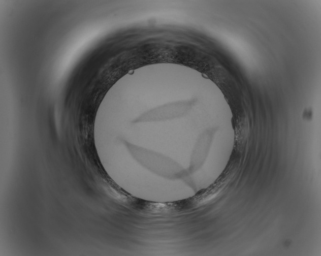 X0000097640239200803281130