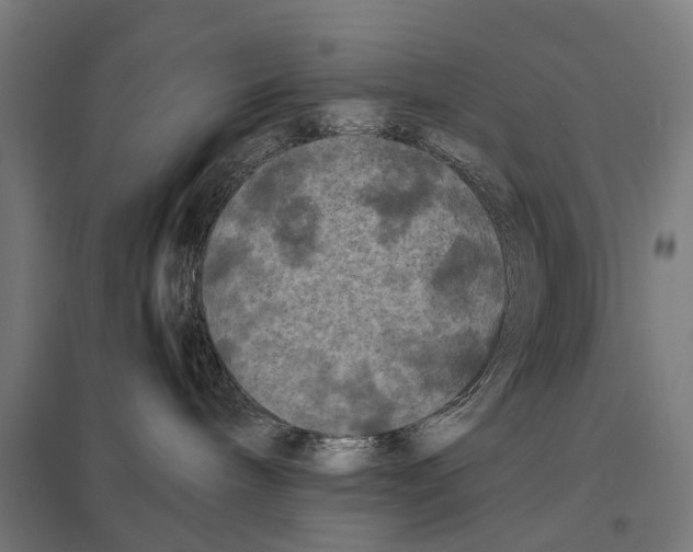 X0000097640240200803281130